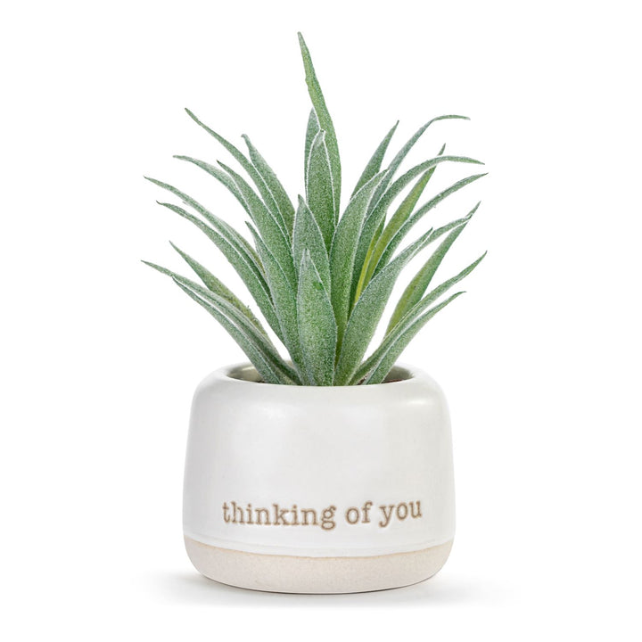 Just Because Mini Succulent Pot