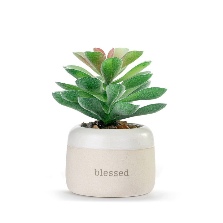 Just Because Mini Succulent Pot