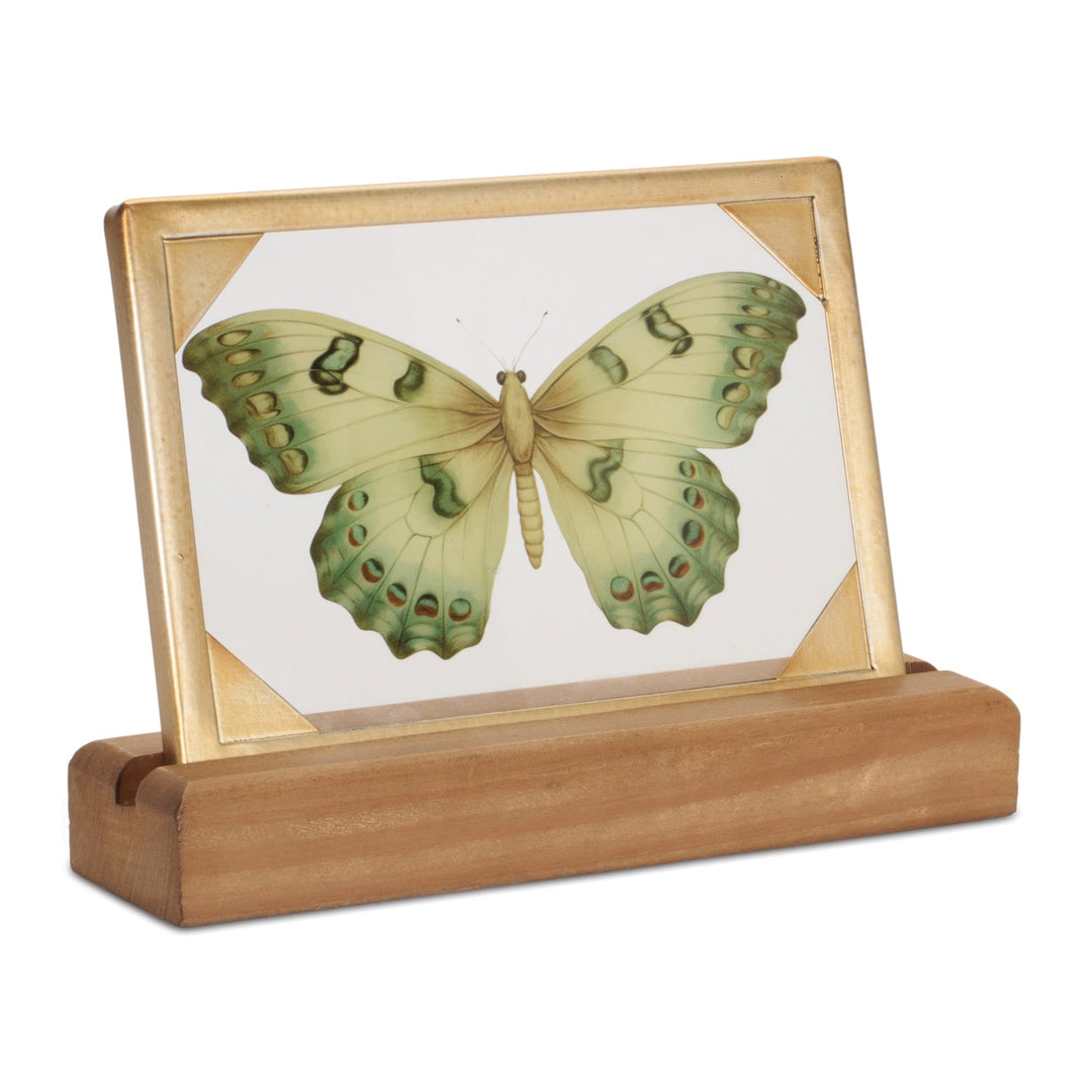 Framed Butterfly Tabletop Decor