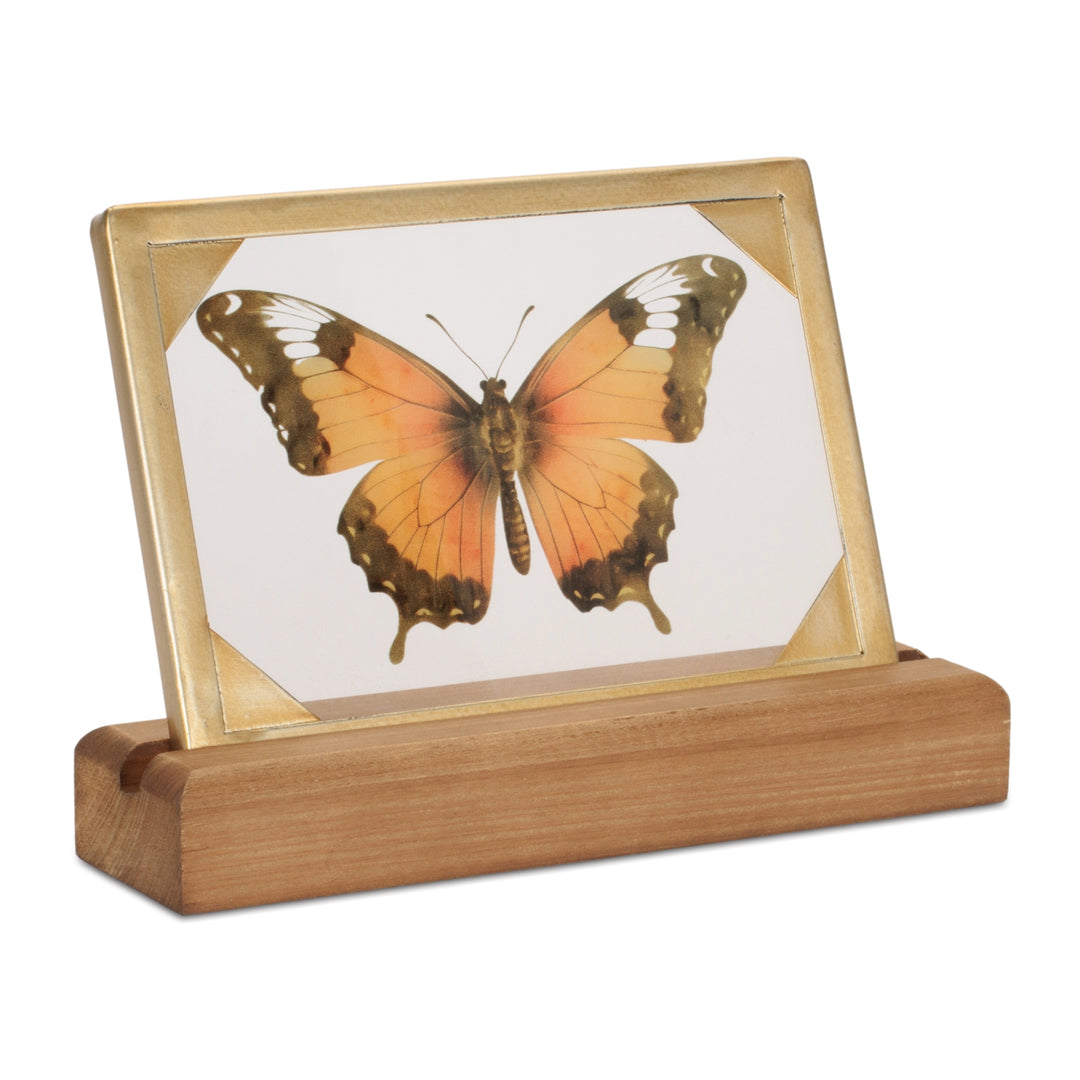 Framed Butterfly Tabletop Decor