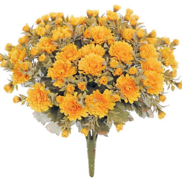 Mini Harvest Mum Bush