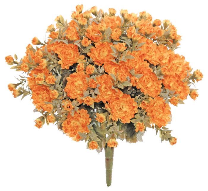 Autumn Garden Mini Mum Bush
