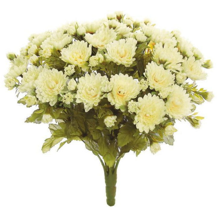 Mini Harvest Mum Bush