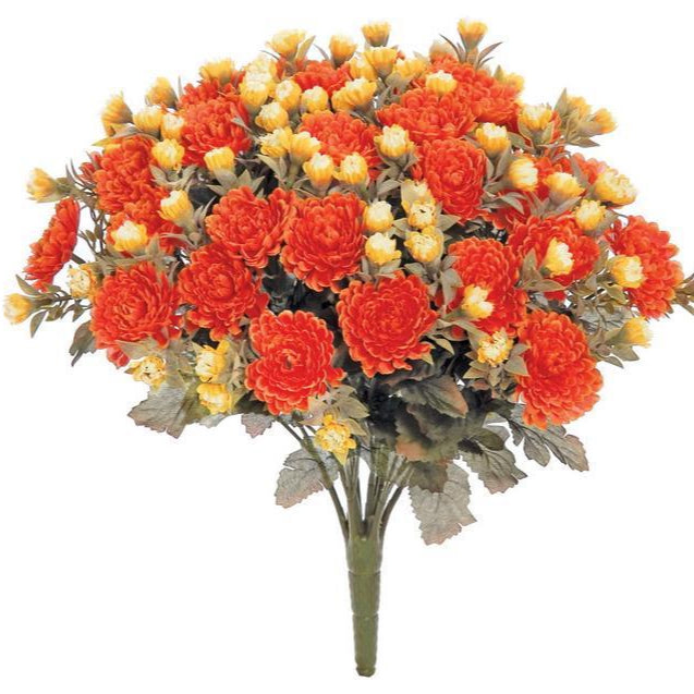 Mini Harvest Mum Bush