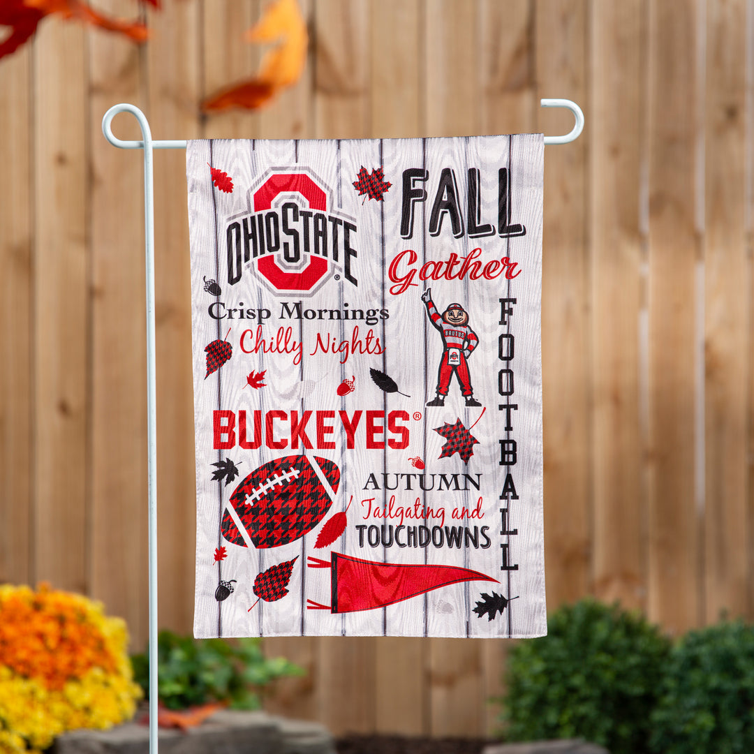 Fall Favs & The Buckeyes Moire Flag
