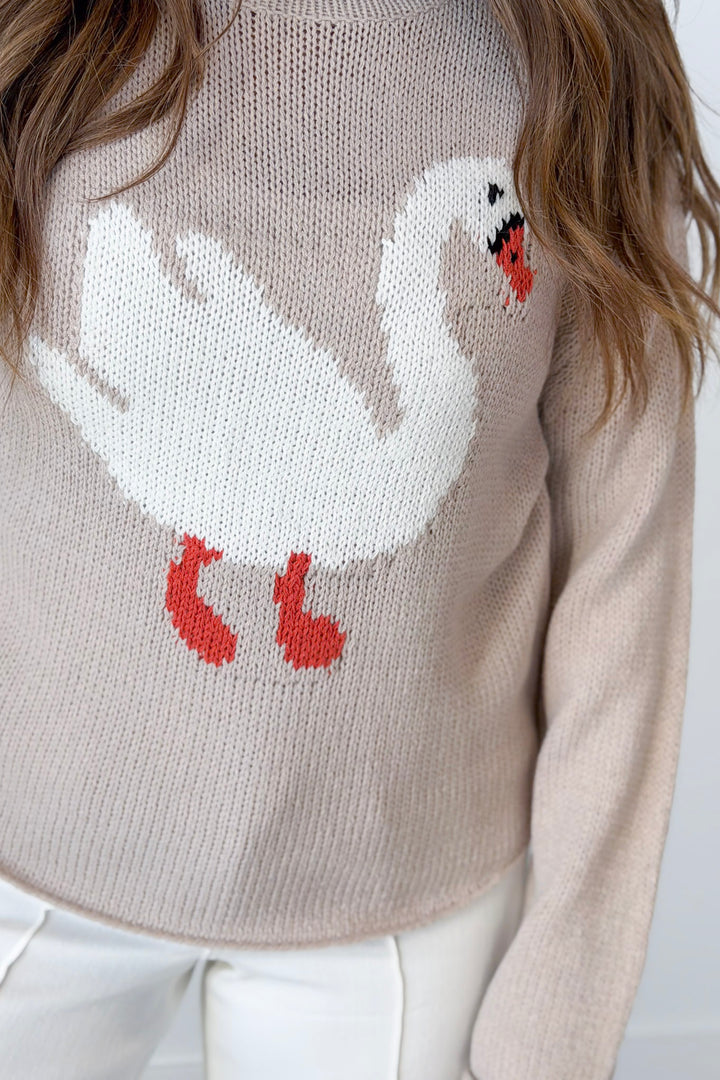 Swan In a Million Sweater