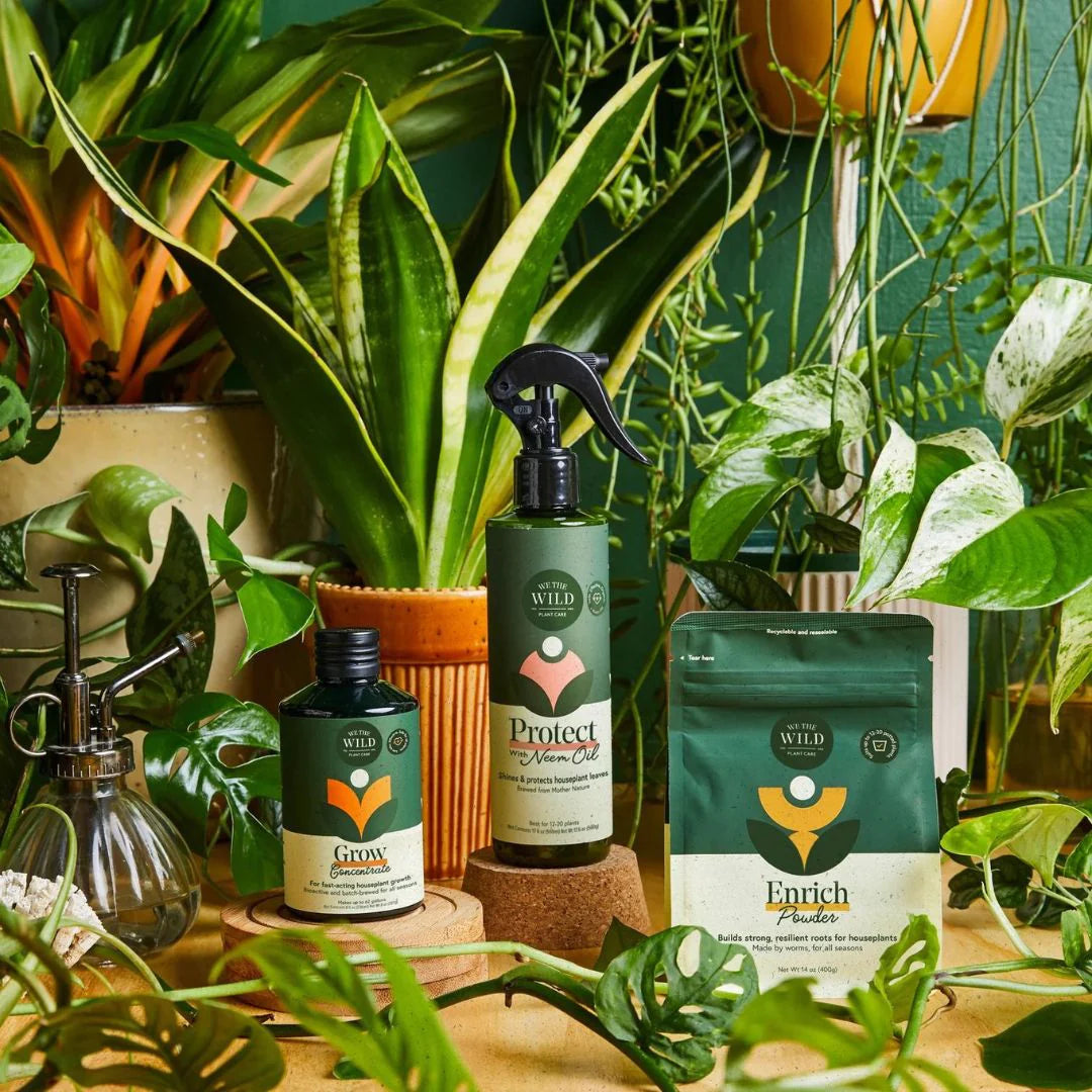 House Plant Essentials Care Kit