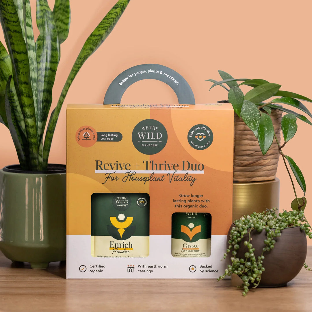 Revive & Thrive Houseplant Food Kit