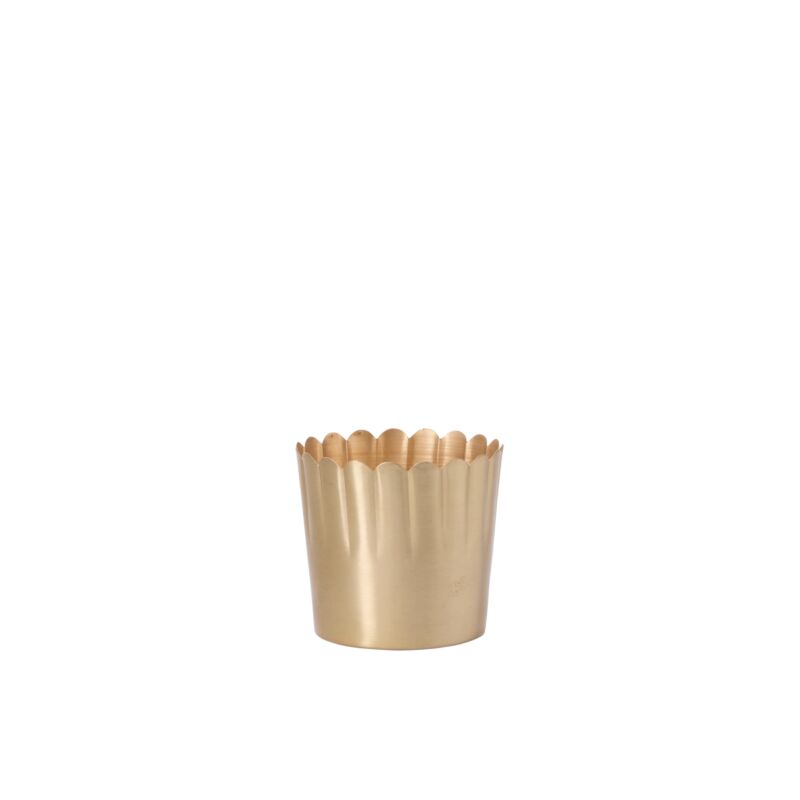 Delicata Pot