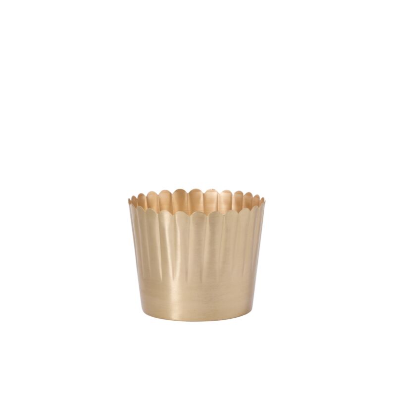 Delicata Pot