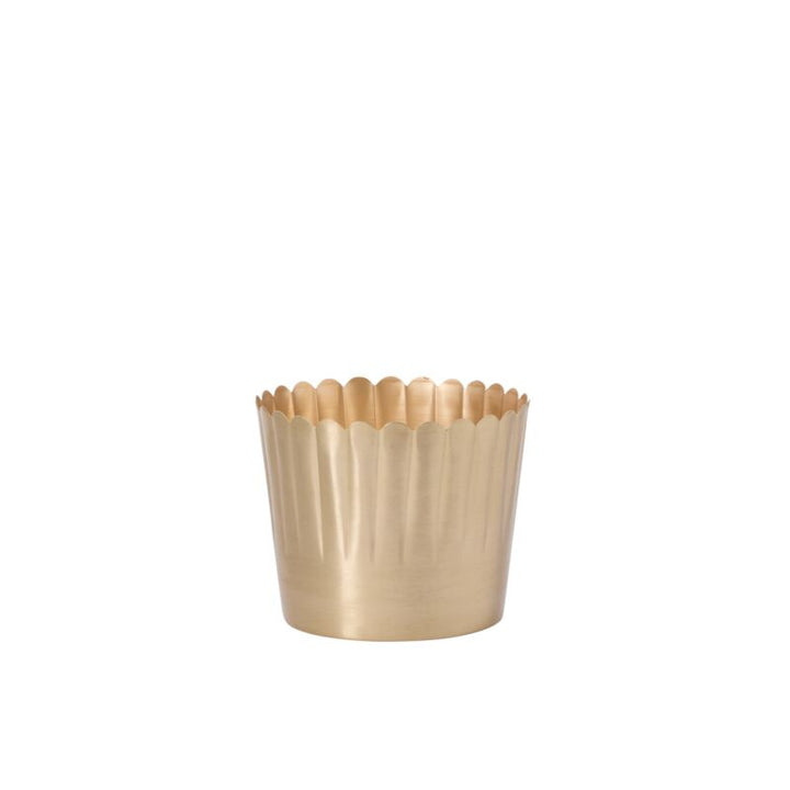 Delicata Pot