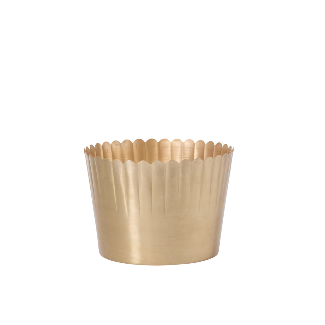 Delicata Pot