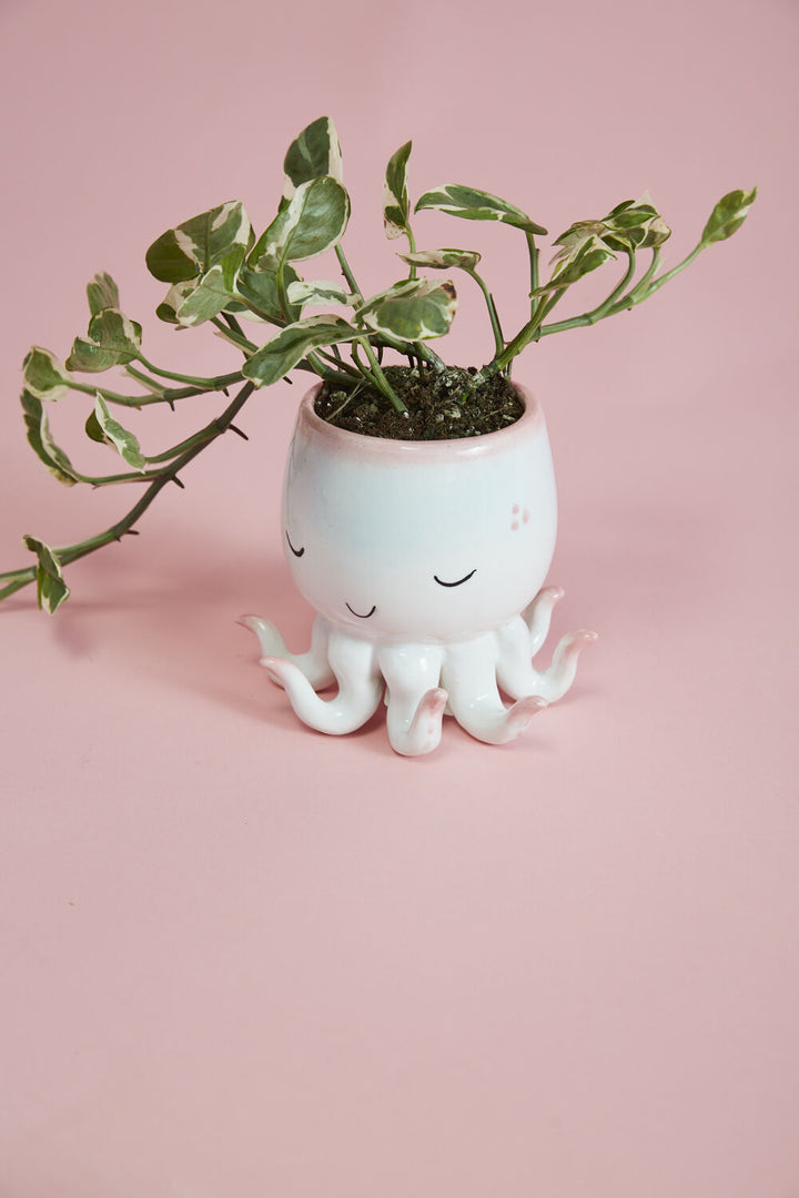 Open Arms Octopus Planter