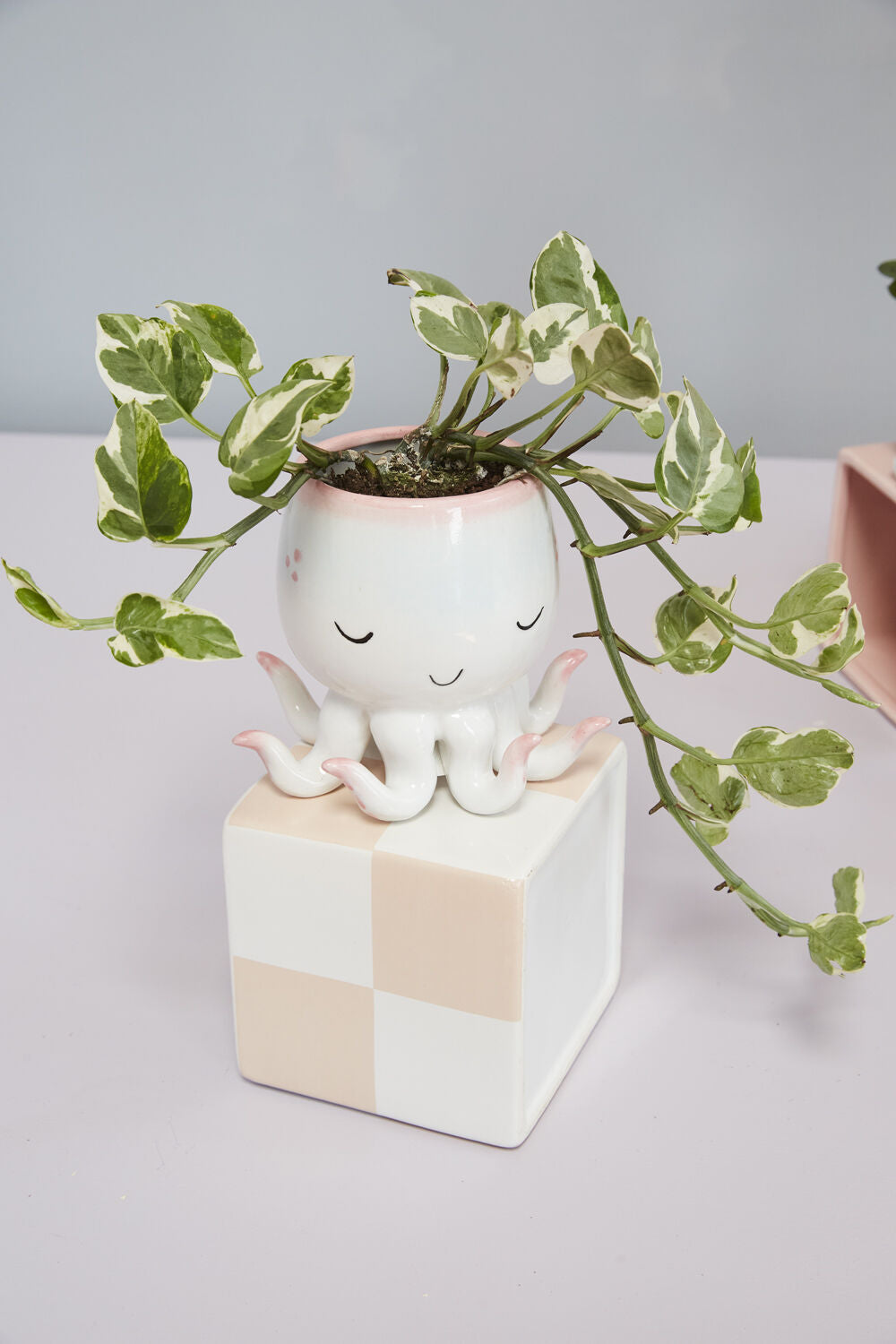 Open Arms Octopus Planter