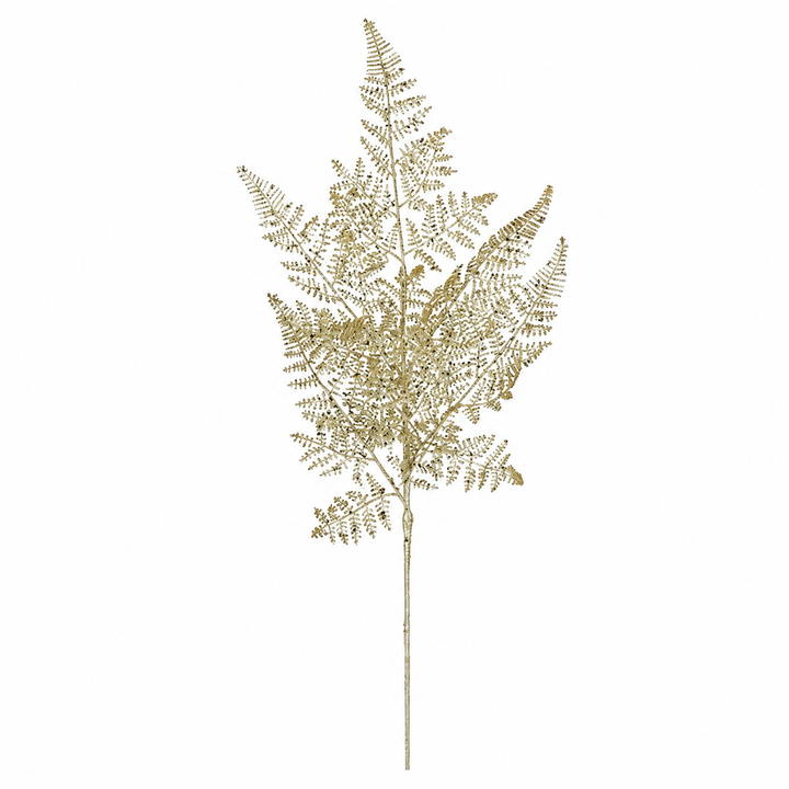 Lace Fern Champagne