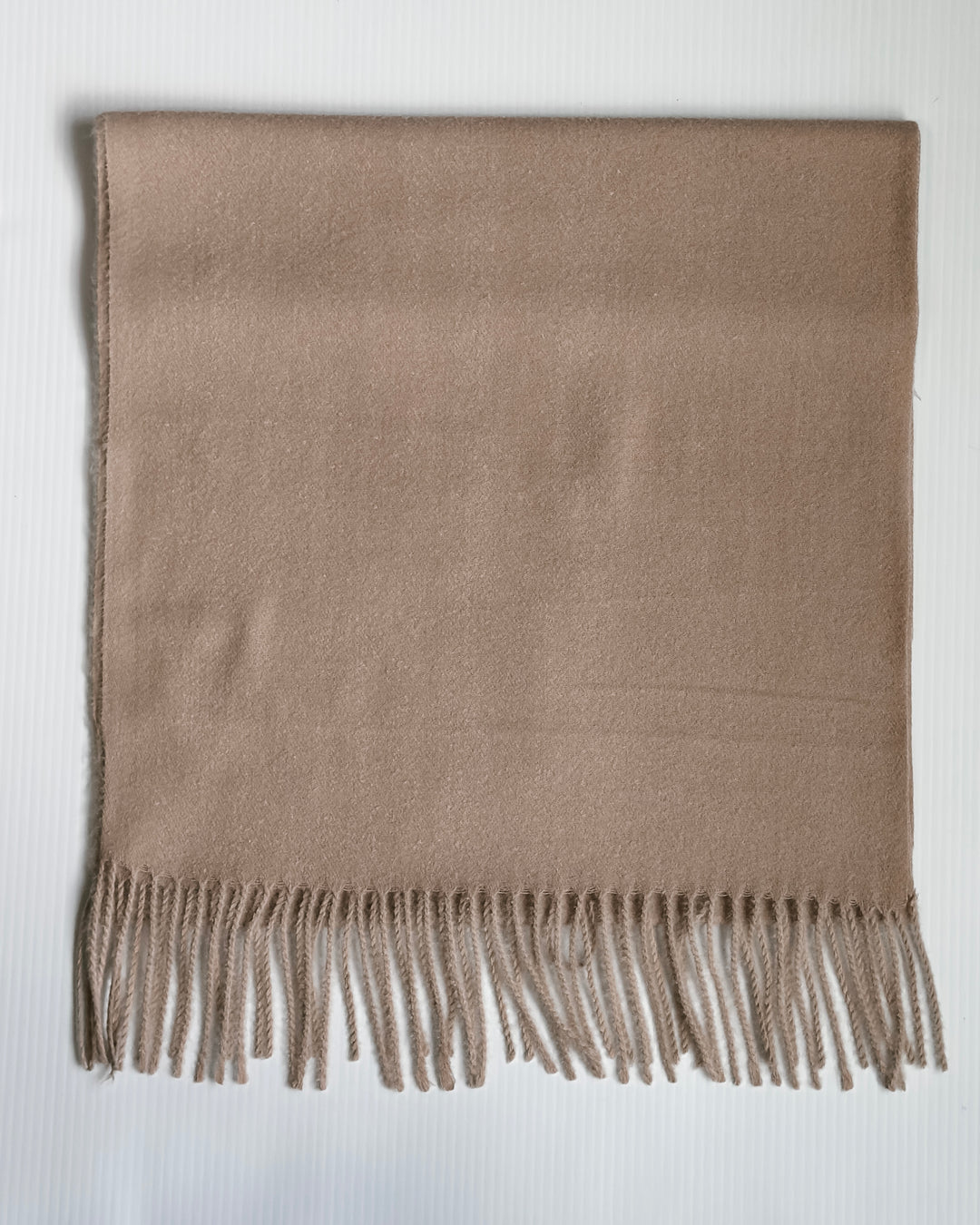 Fringed Cashmere Feel Scarf (save for next year)