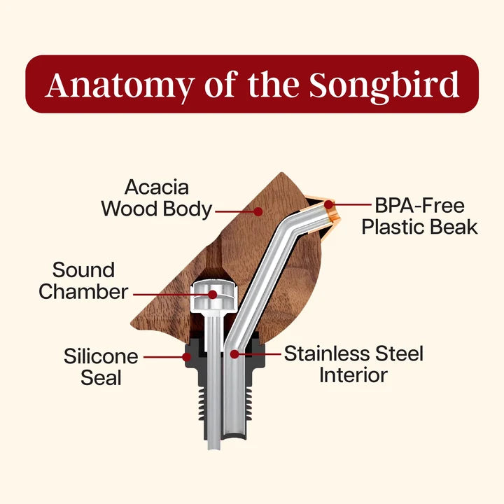 Songbird Specialties Singing Bottle Pourer