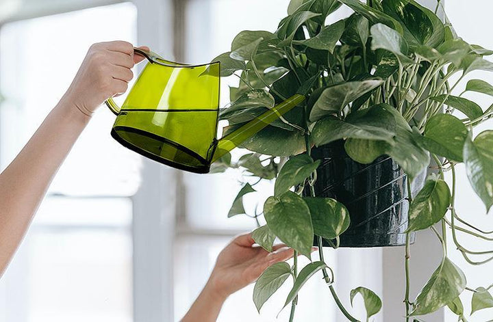 Slender Plastic Watering Can