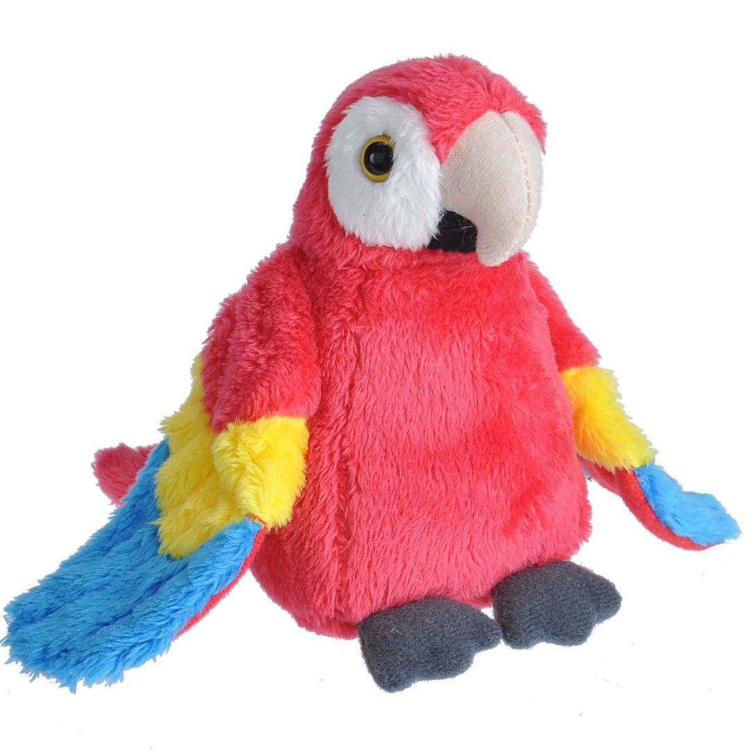 Scarlet Macaw Pocketkin