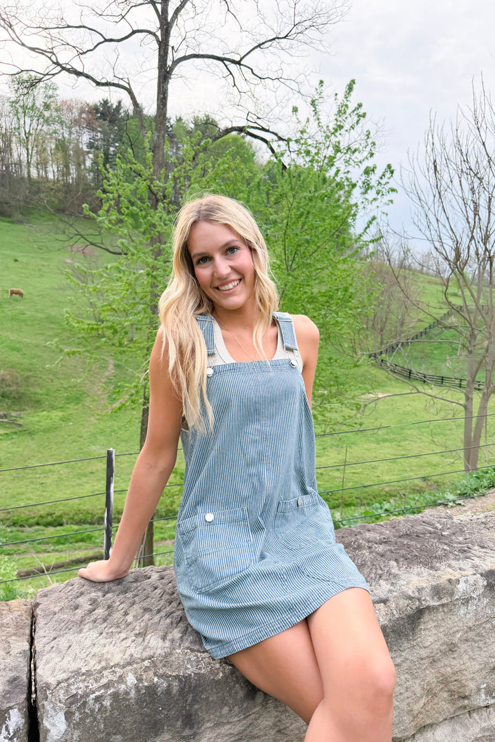Stripes Of Freedom Dress
