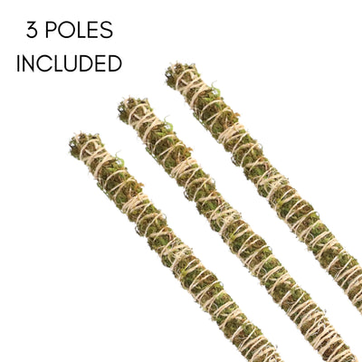 Bendable Moss Plant Pole Set