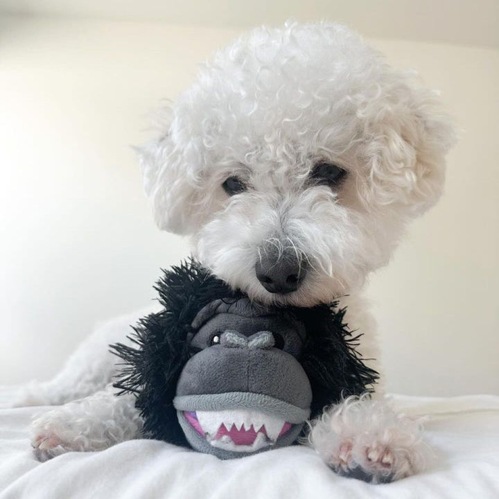Yeti Fetch Ball Dog Toy
