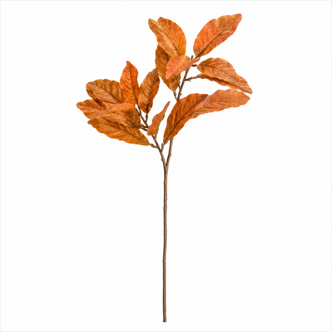 Croton Bicolor Spray Dusty Orange