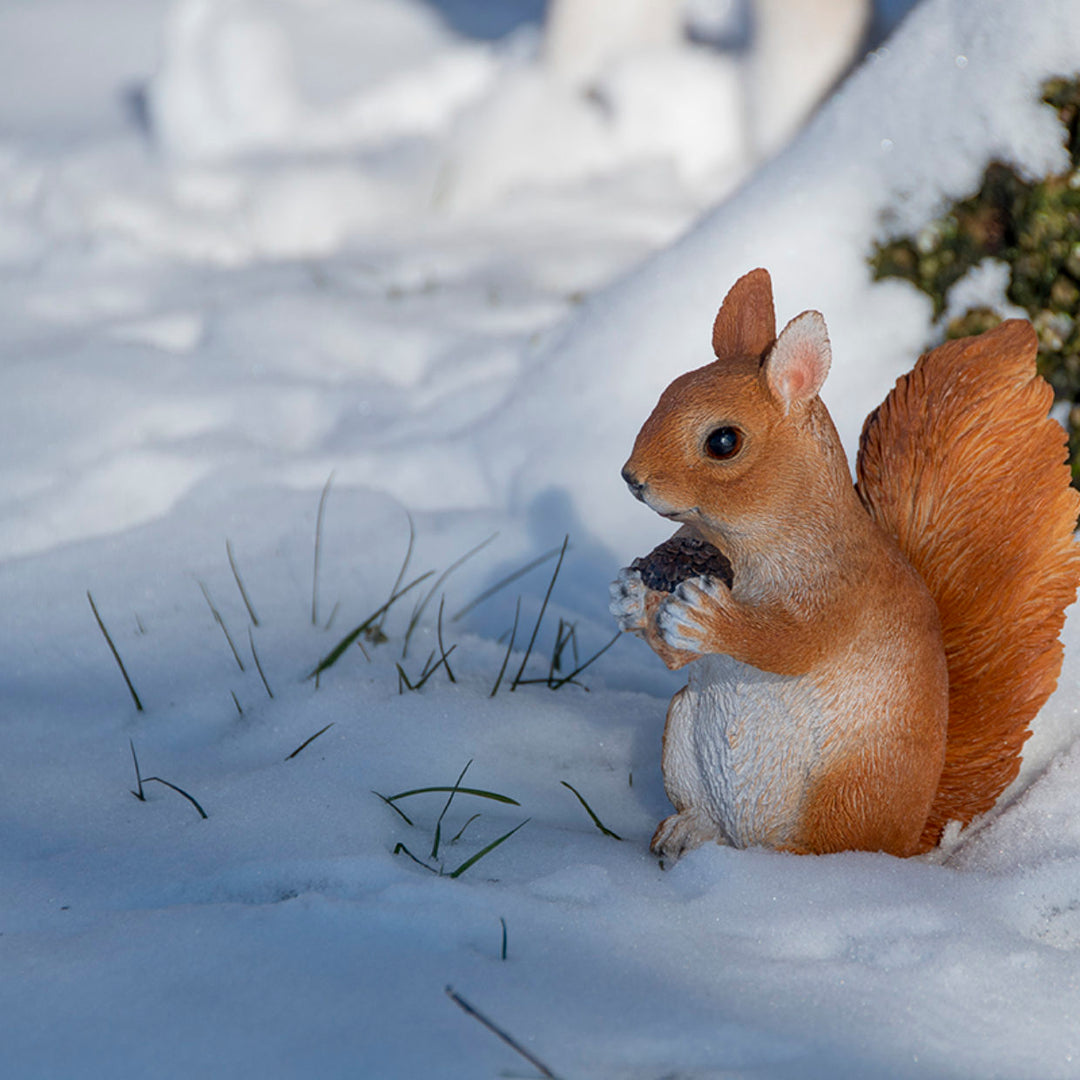 Outdoor Resin Sitting Squirrel