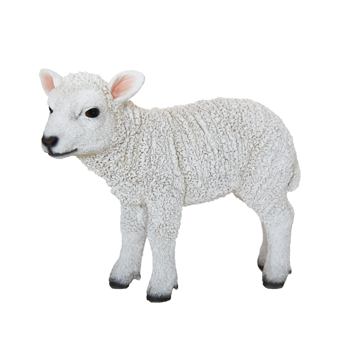 Real Look Lamb