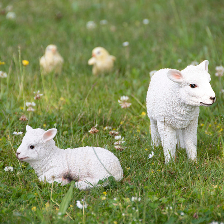 Real Look Lamb