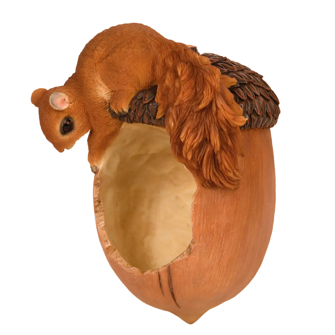 Squirrel Acorn Jar Holder Bird Feeder