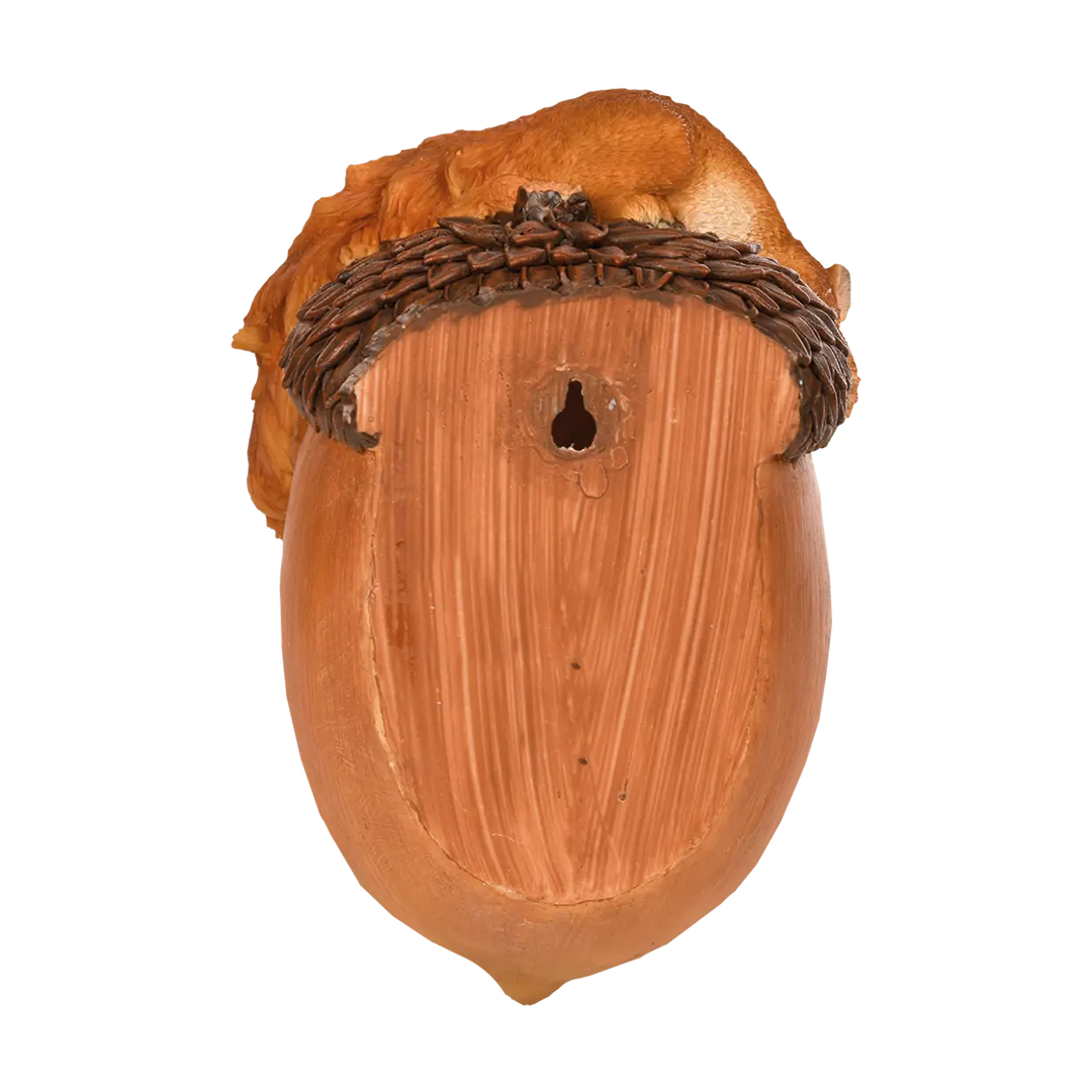 Squirrel Acorn Jar Holder Bird Feeder
