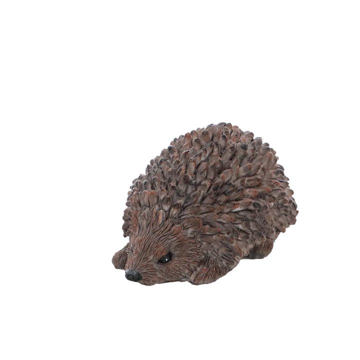 Hedgehog Secret Key Keeper