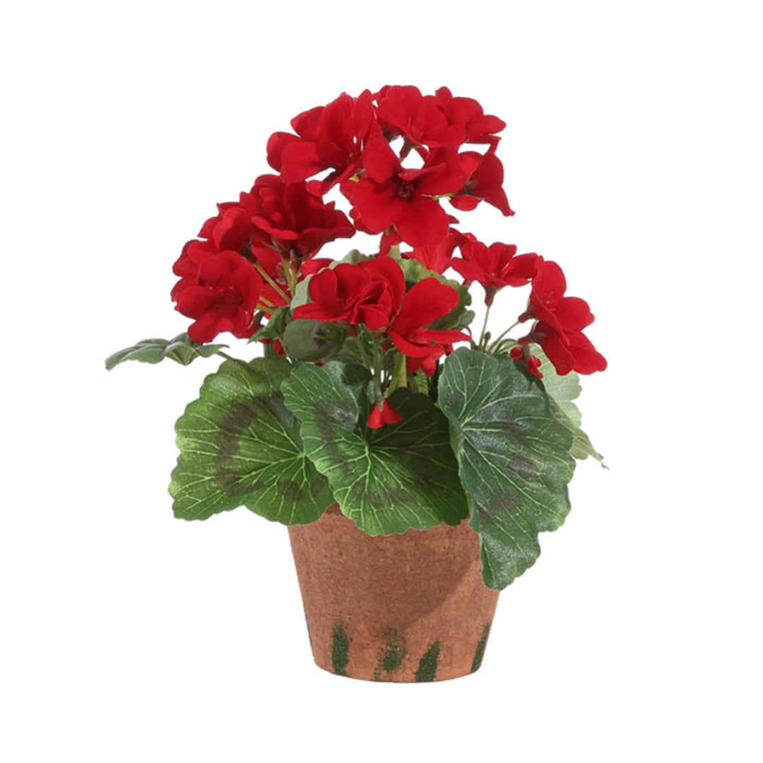 Lovely Potted Red Geranium