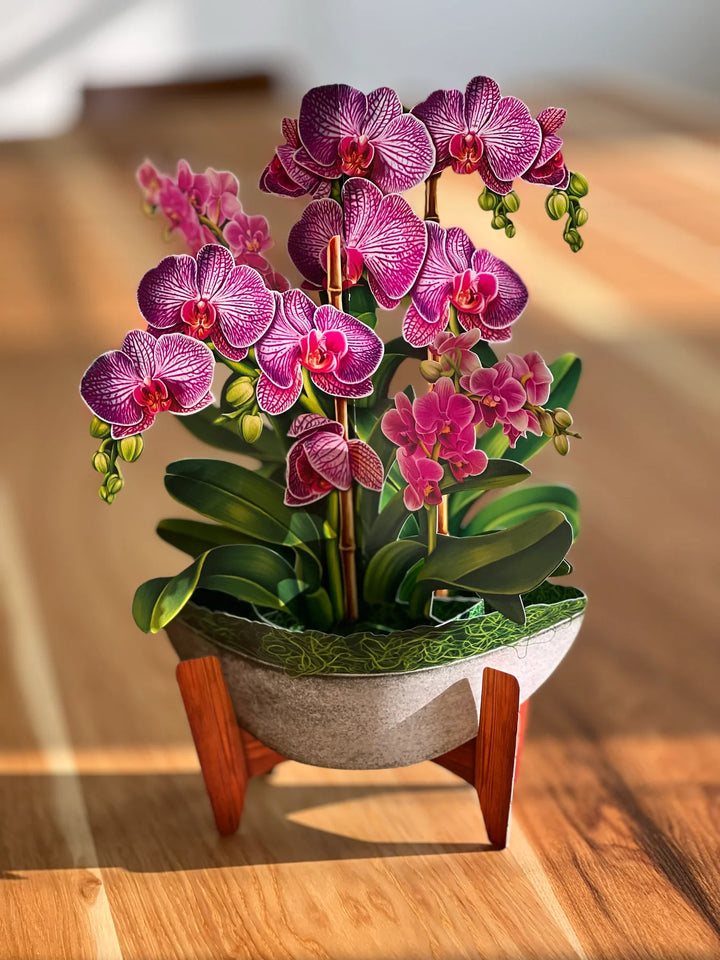 Orchid Oasis Pop-up Flower Bouquet