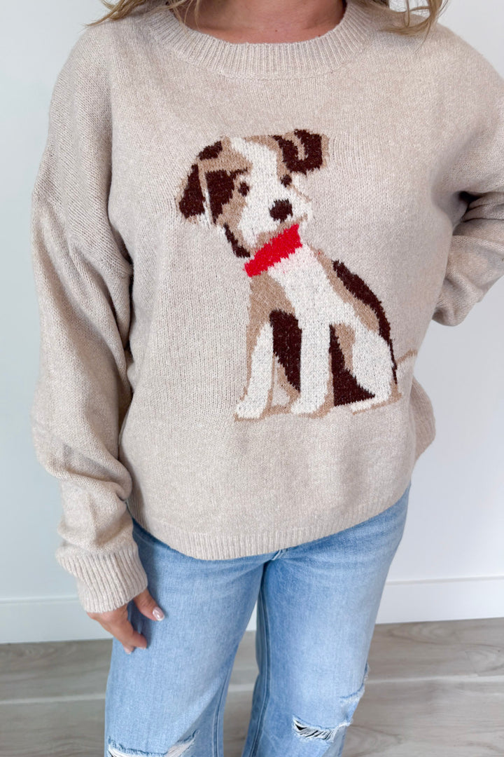 Puppy Love Sweater