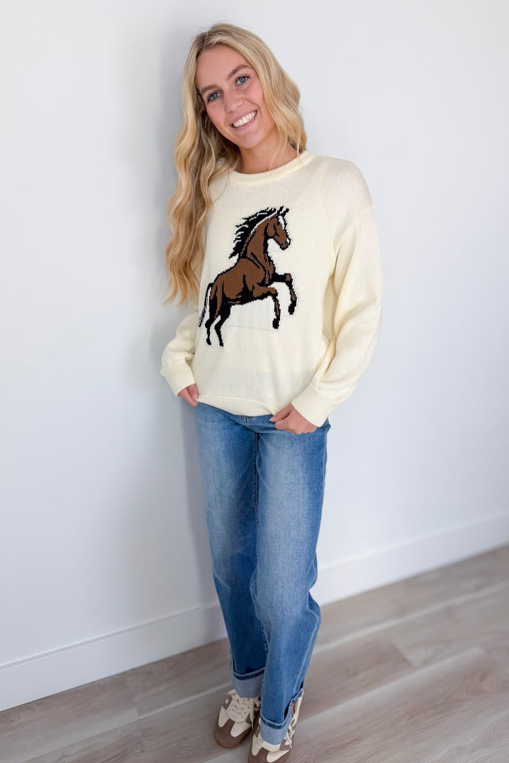 Giddy Up Sweater