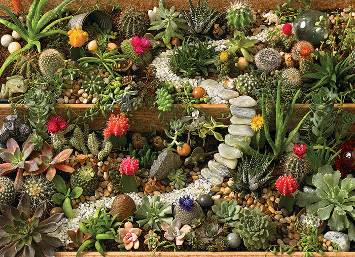 Succulent Garden Puzzle