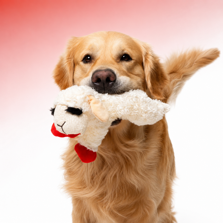 Lamb Chop Plush Dog Toy