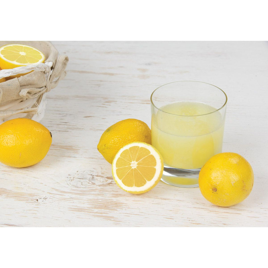 Classic Citrus Hand Press Juicer