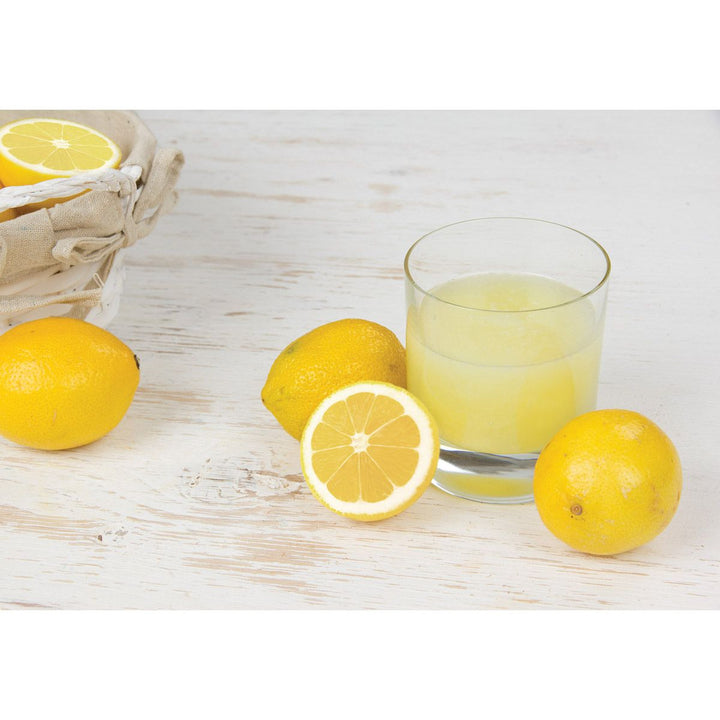 Classic Citrus Hand Press Juicer