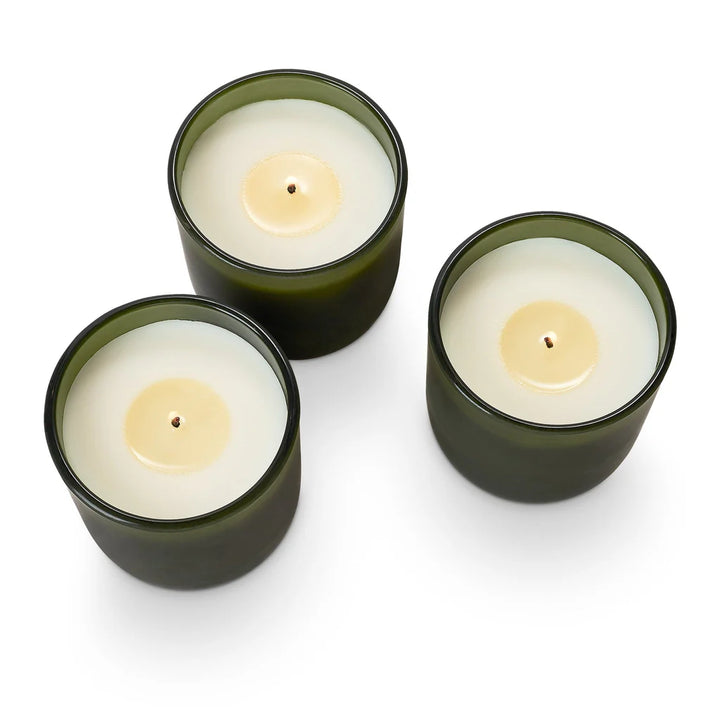 ILLUME Balsam & Cedar Candle Trio Gift Set