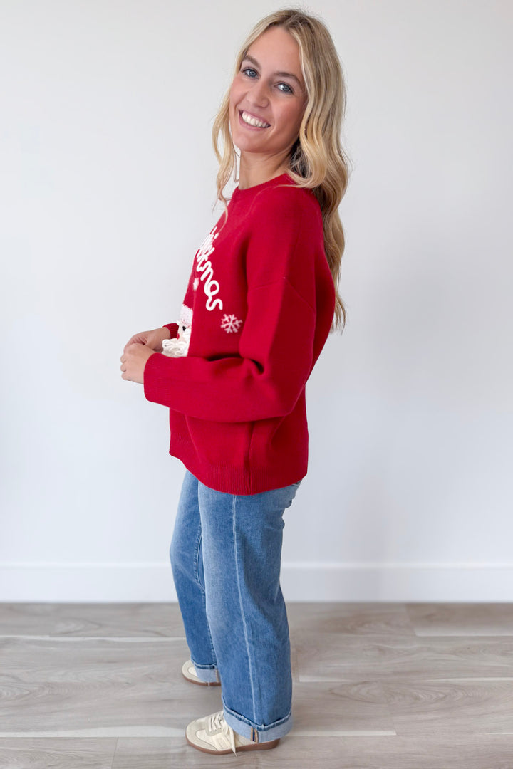 Merry Christmas Santa Sweater