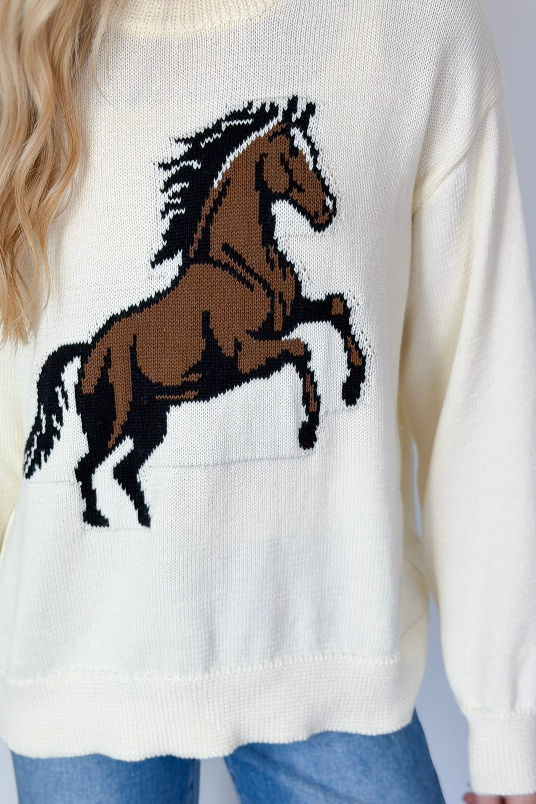 Giddy Up Sweater