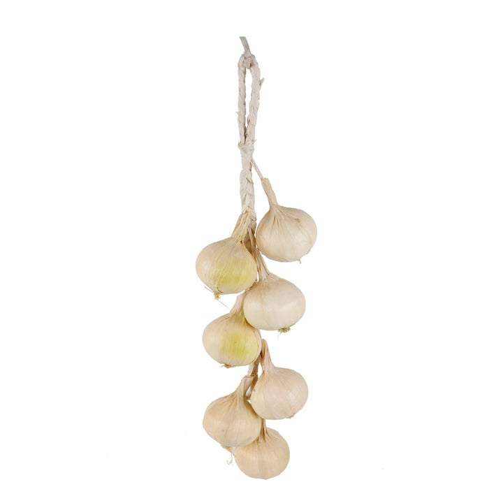 Hanging Dried Garlic Stem