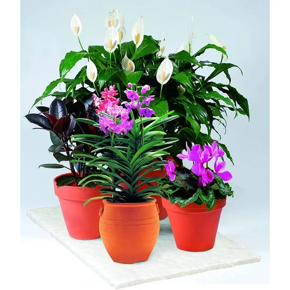 Soil Moist Vacation Watering Mats