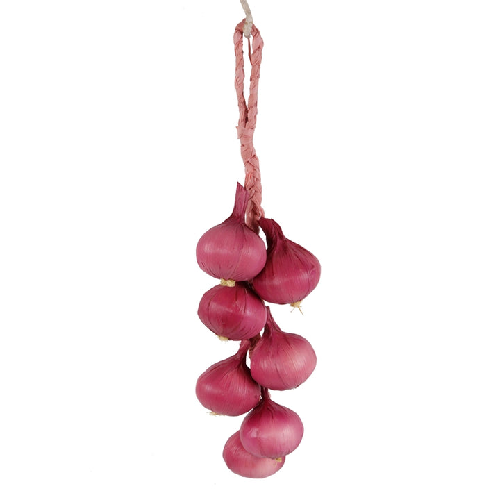 Hanging Dried Garlic Stem