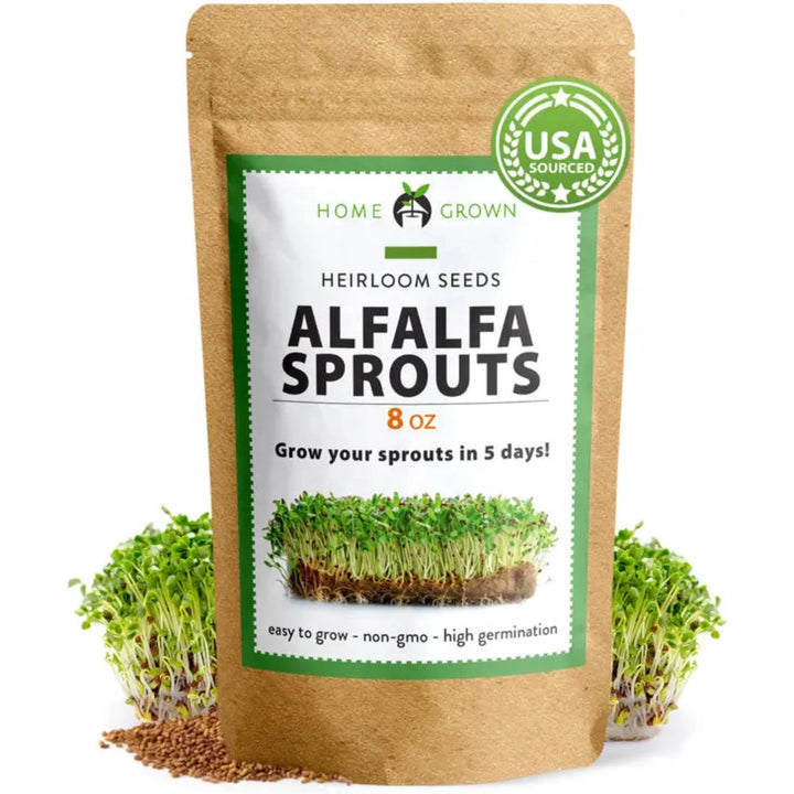 Sprouting Alfalfa Seeds