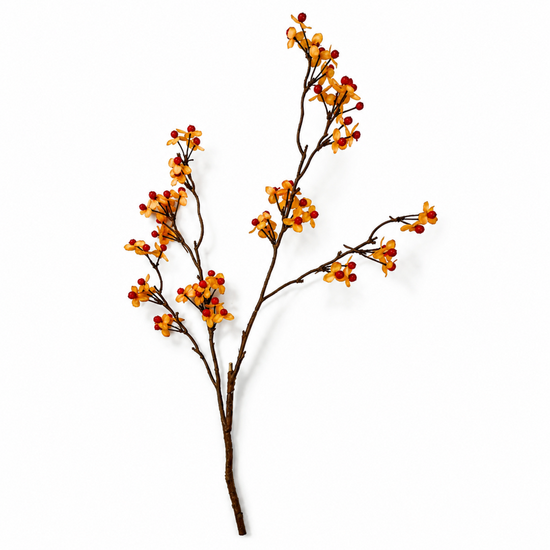 Bittersweet Berry Branch
