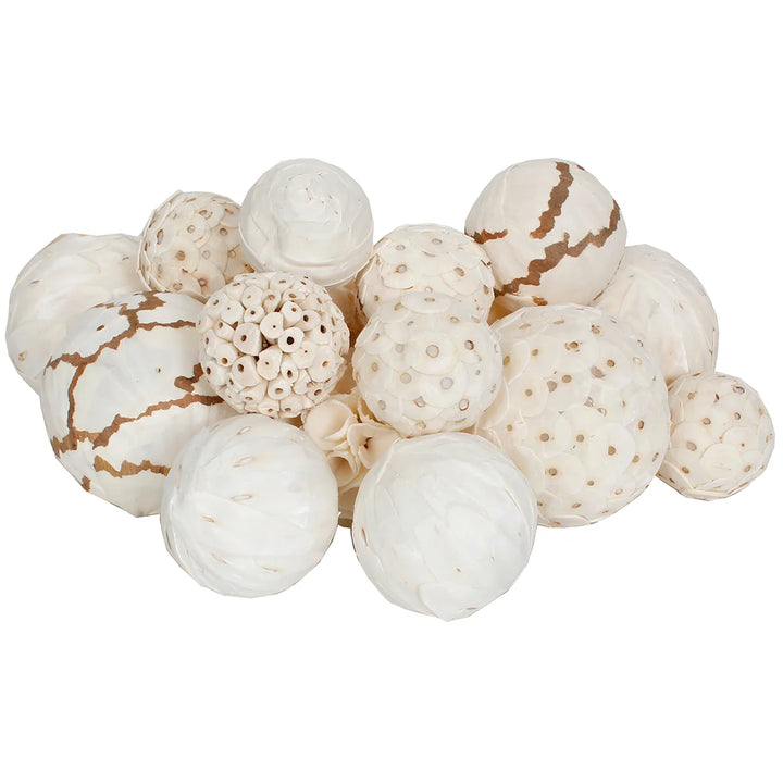 Dried Exotic Orbs